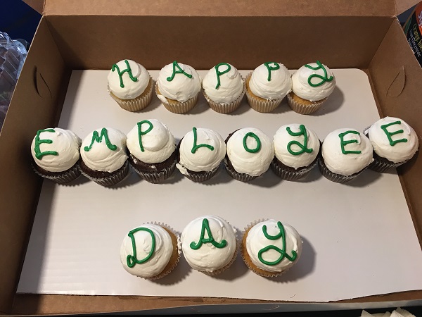 NTI Cupcakes2 NTI Cupcakes2