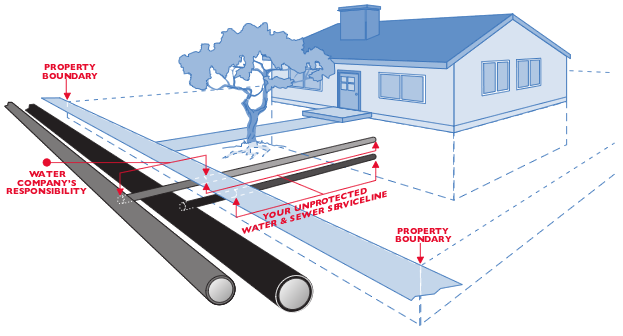 Sewer line from house to street discount