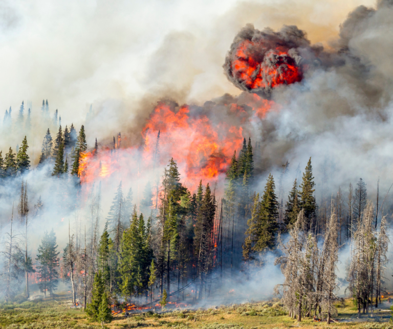 Spokane Wildfire